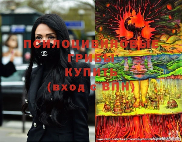 меф Белокуриха