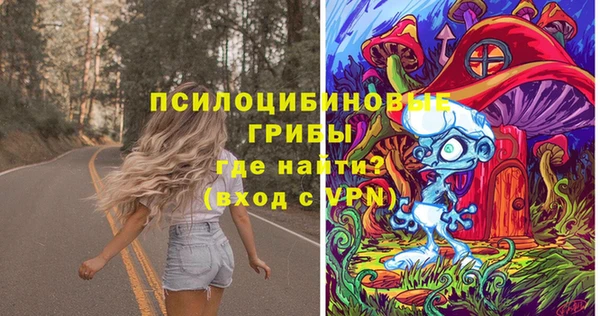 меф Белокуриха