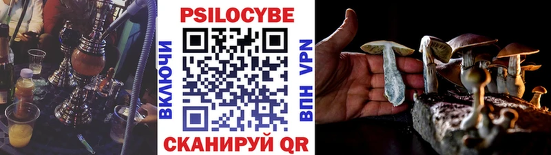 Галлюциногенные грибы GOLDEN TEACHER  Купить закладки  Курчатов 